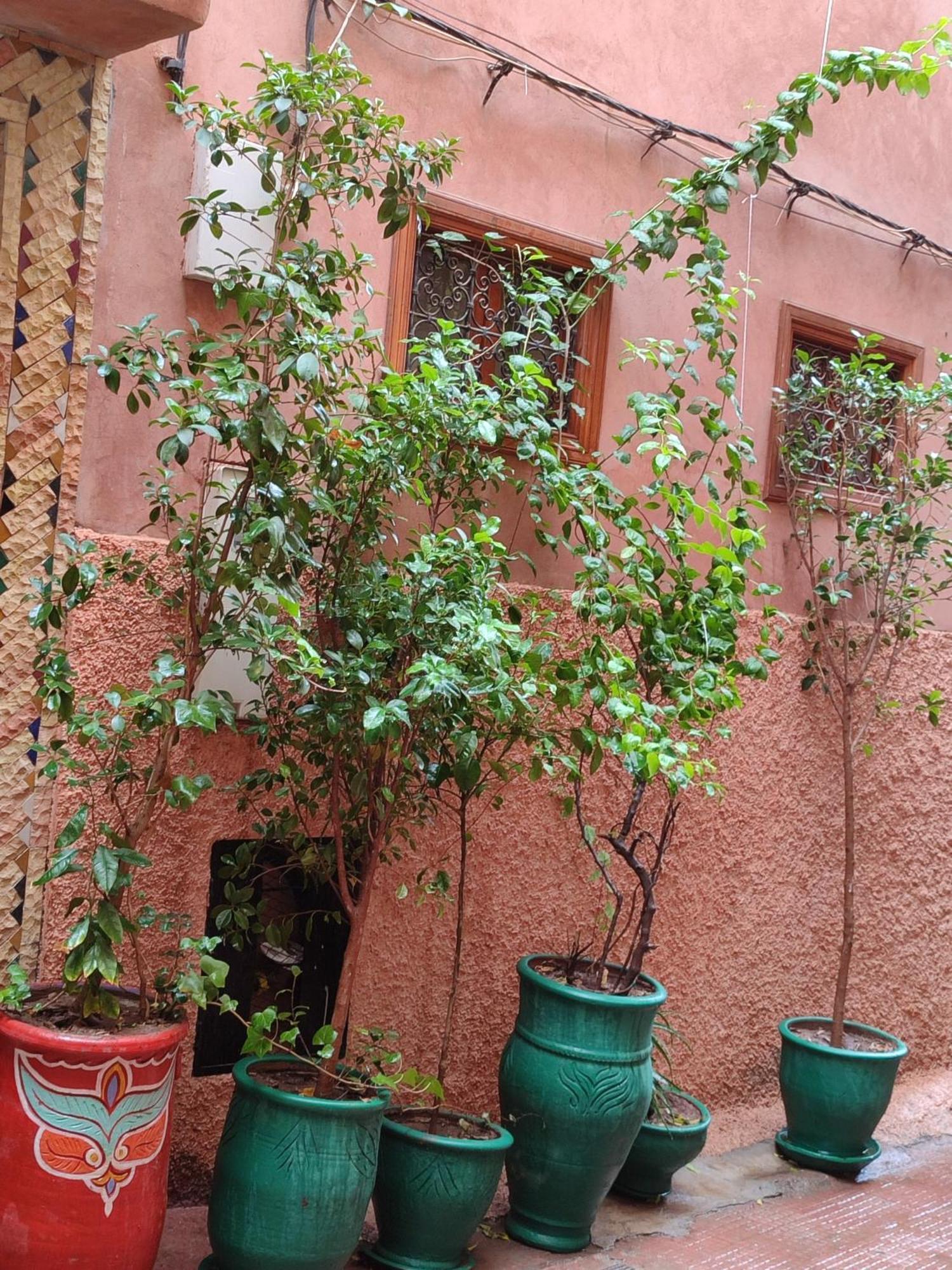 Zahri 2* مراكش